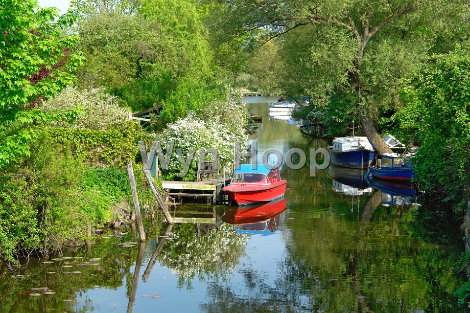 Rostock_bei der Warnowmuendung_2.jpg - Idylle in einem Nebenarm bei der Warnowmündung                            
